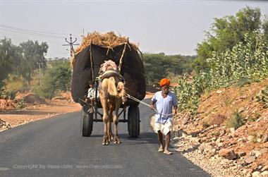 01 PKW-Reise_Kuri-Osiyan-Jodhpur_DSC3549_b_H600